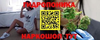 мяу мяу мука Пенза