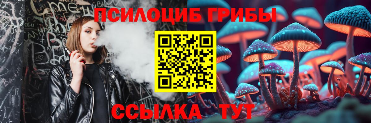 Галлюциногенные грибы Magic Shrooms Тамбов