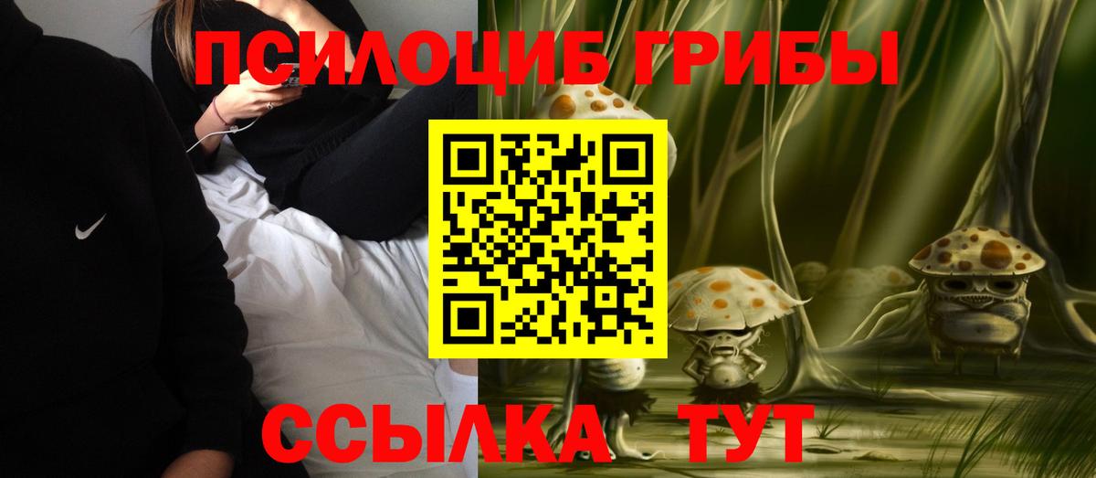 Тамбов  Псилоцибиновые грибы мицелий  Вход с VPN  Псилоцибиновые грибы GOLDEN TEACHER 